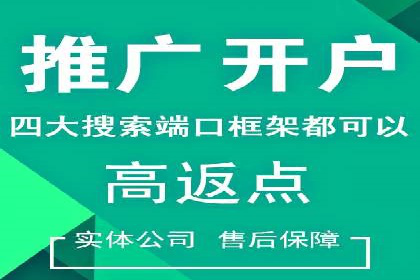 案例研究：信息流广告投放优化
